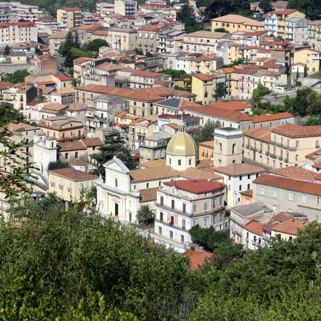 Plantilla CES 2026 02 16T121813.575