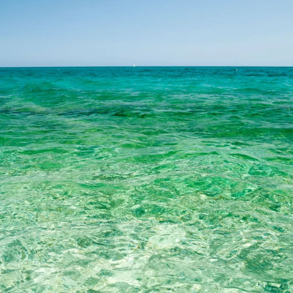 Plantilla CES 2026 02 17T154841.756