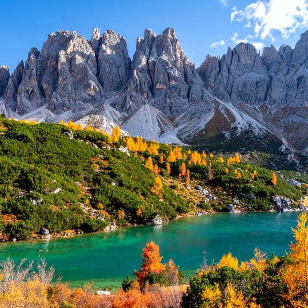 Plantilla CES 2026 02 24T115021.594