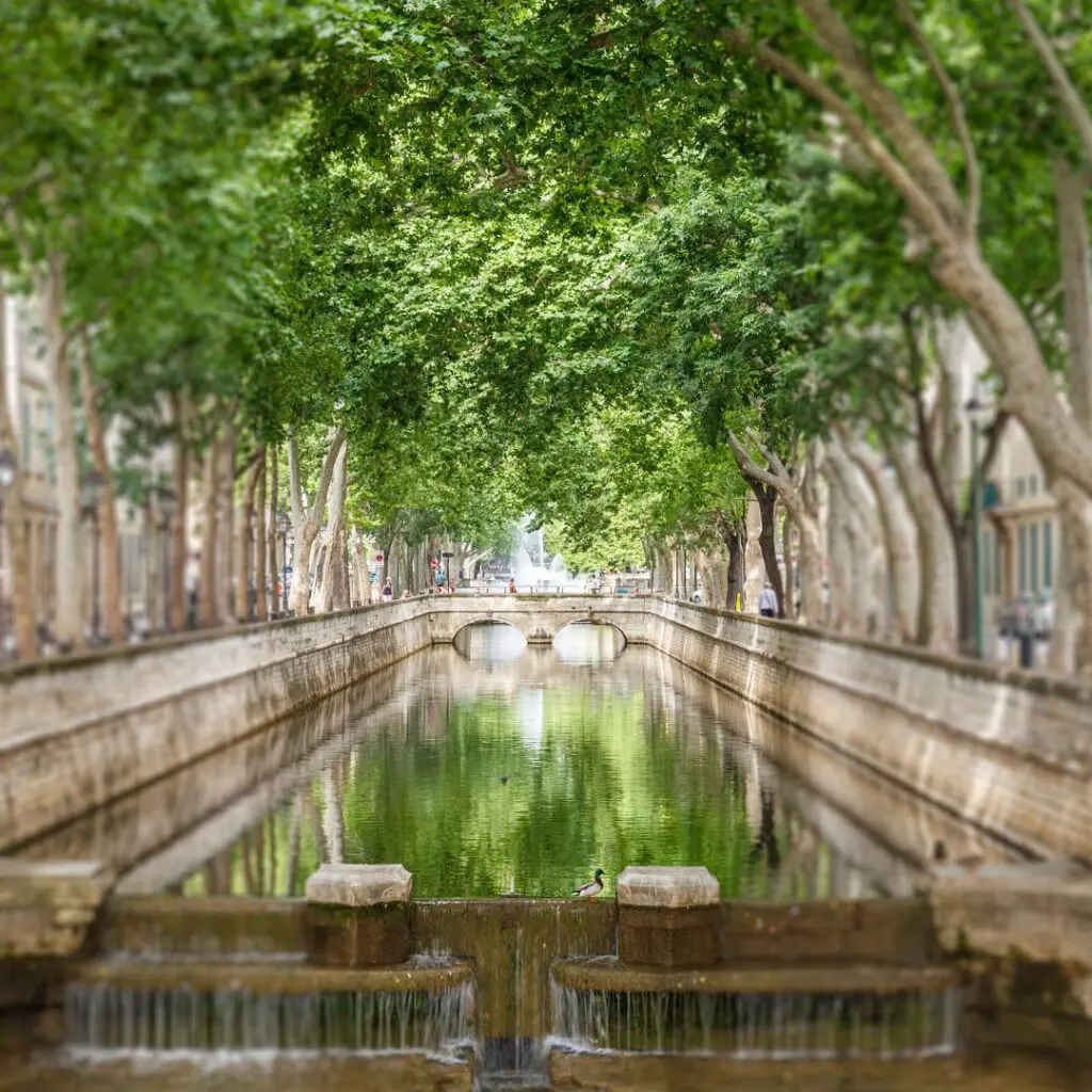 Plantilla CES 2026 02 27T102928.979