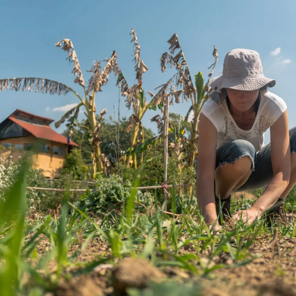 Plantilla CES 2026 03 05T115916.385