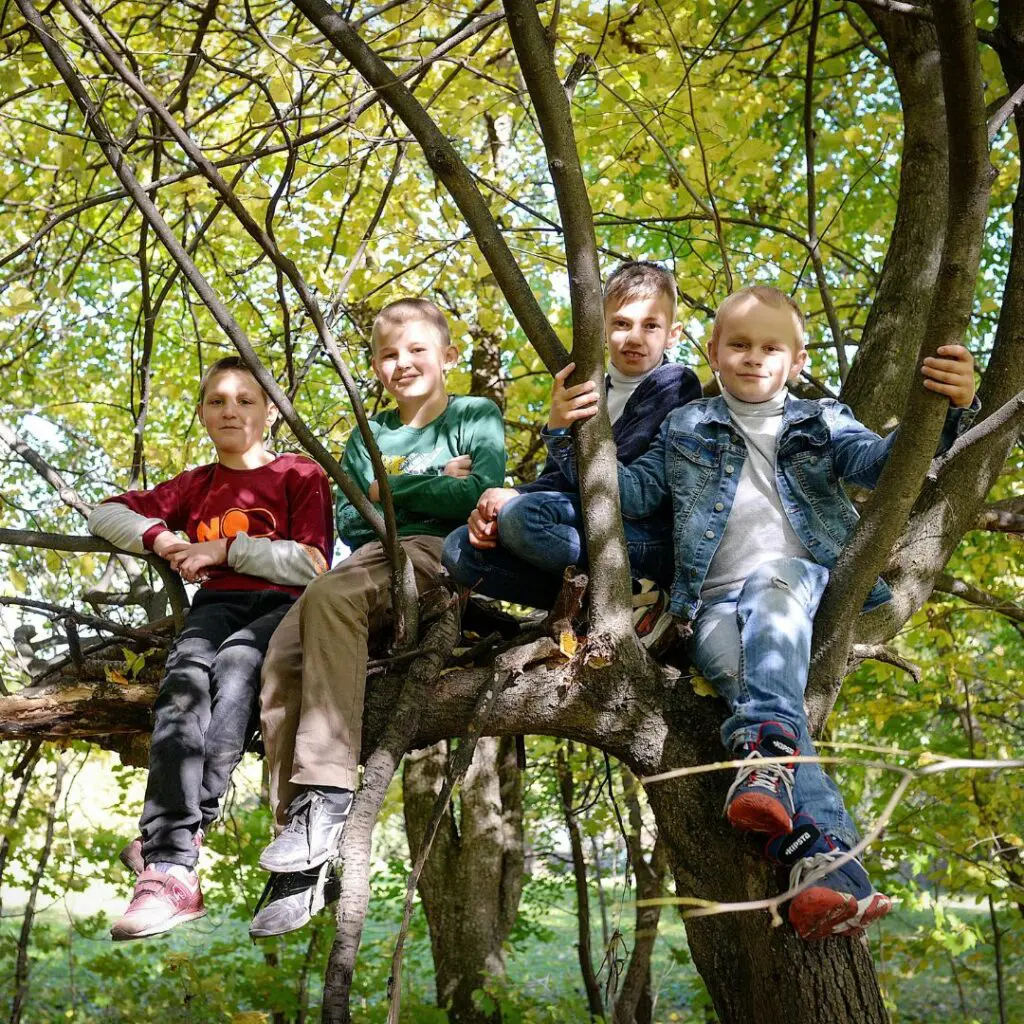 Plantilla CES 2026 03 09T111253.909