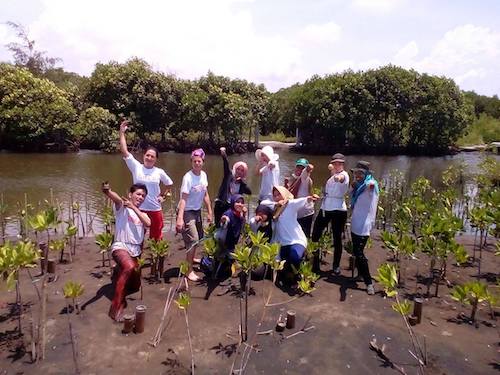 Voluntariado Indonesia manglares