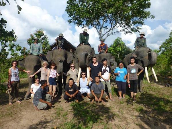 Voluntariado Filipinas Elefantes