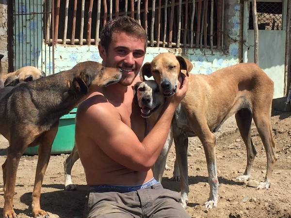 Voluntariado en perrera en Perú